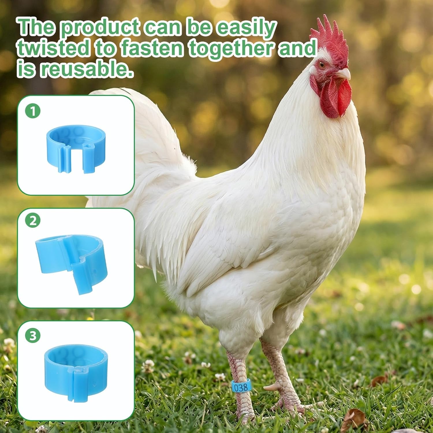 100 Pcs 16Mm Chicken Leg Bands, Adjustable Poultry Tags with 5 Colors Color-Coded Leg Bands Chicken Coop Accessories for Ducks Bantam Guinea Pigeons Goose Gamefowl