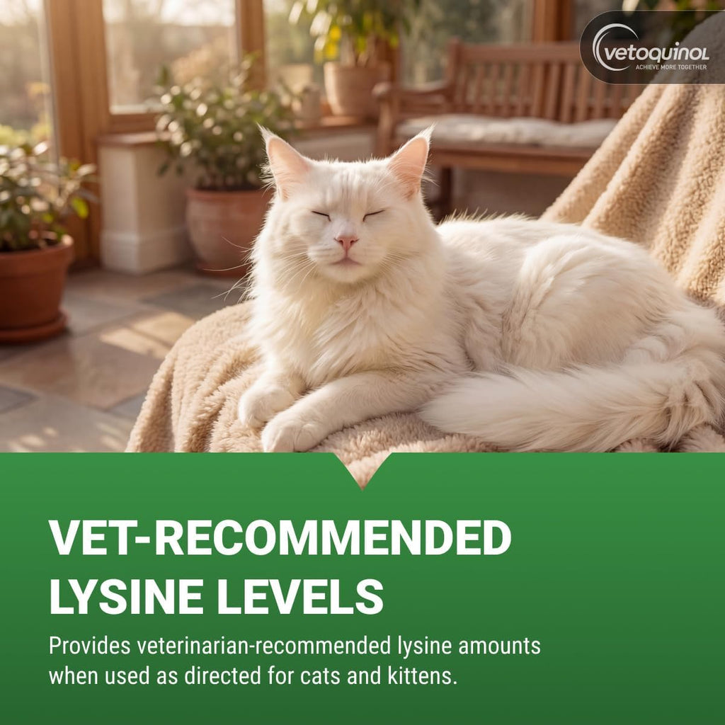 Viralys - Lysine Supplement for Cats & Kittens - Supports Eye Wellness, Respiratory Health & Immune Strength - Flavored Oral Powder for Easy Feeding & Daily Use - 100 Grams
