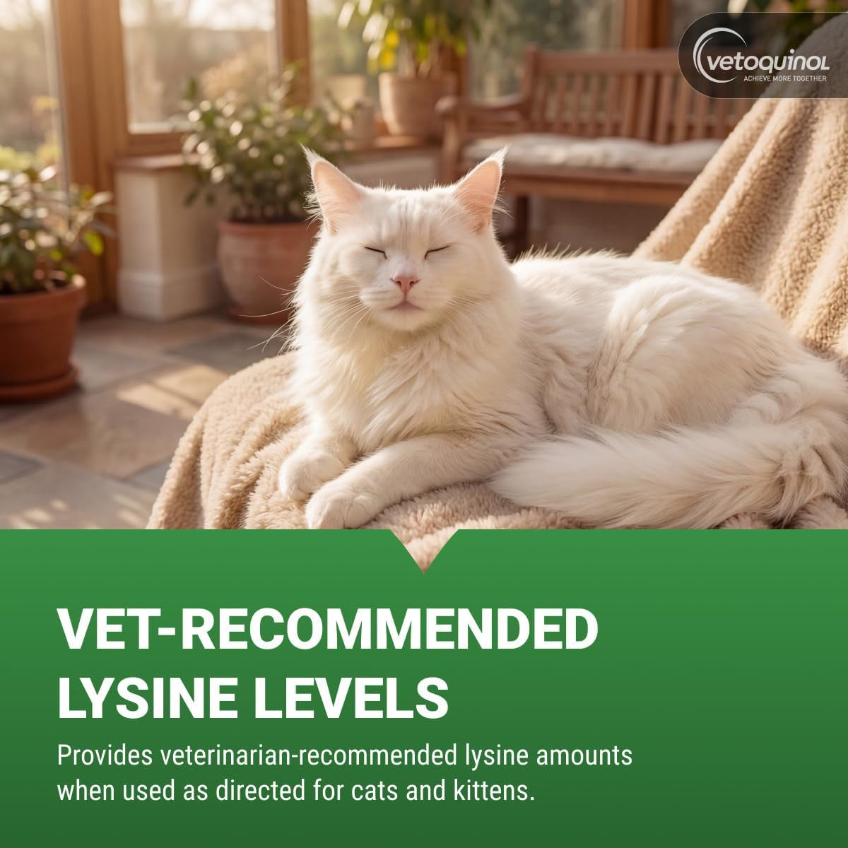 Viralys - Lysine Supplement for Cats & Kittens - Supports Eye Wellness, Respiratory Health & Immune Strength - Flavored Oral Powder for Easy Feeding & Daily Use - 100 Grams