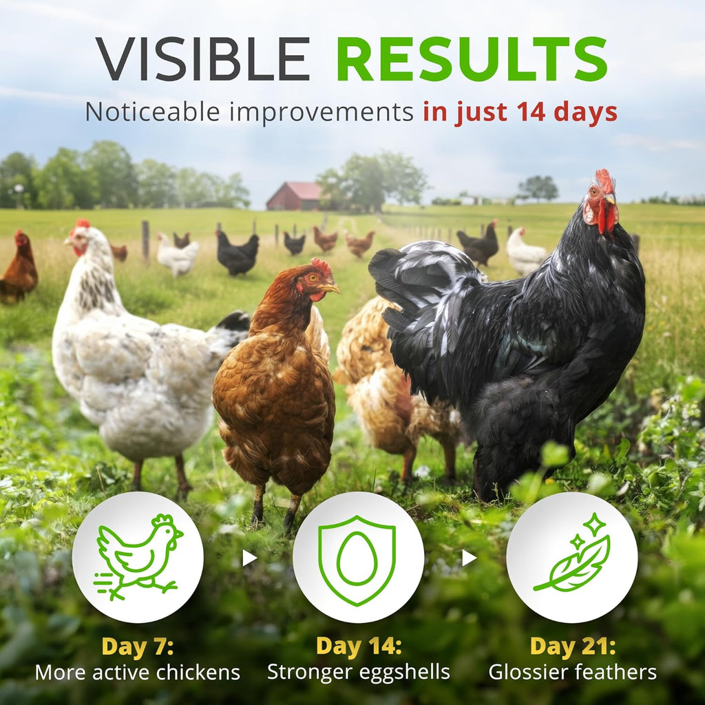 Herb Supplement for Backyard Chickens - Natural Chicken Treats, Poultry Feed Botanical Mix, Plant-Based Coop Snacks for Daily Wellness, Feather Quality, Egg Production, USA (12 Oz)