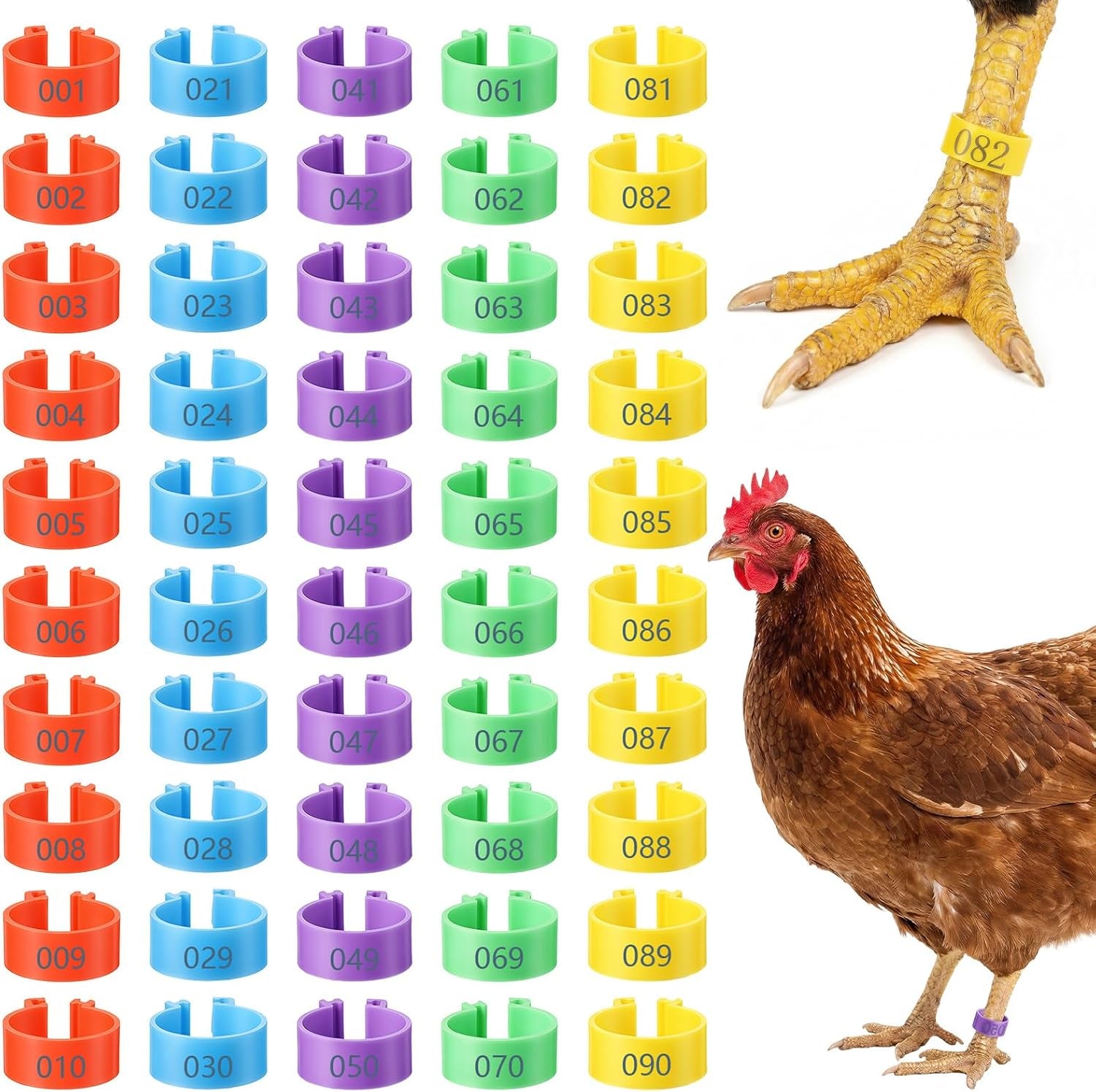 100 Pcs 16Mm Chicken Leg Bands, Adjustable Poultry Tags with 5 Colors Color-Coded Leg Bands Chicken Coop Accessories for Ducks Bantam Guinea Pigeons Goose Gamefowl