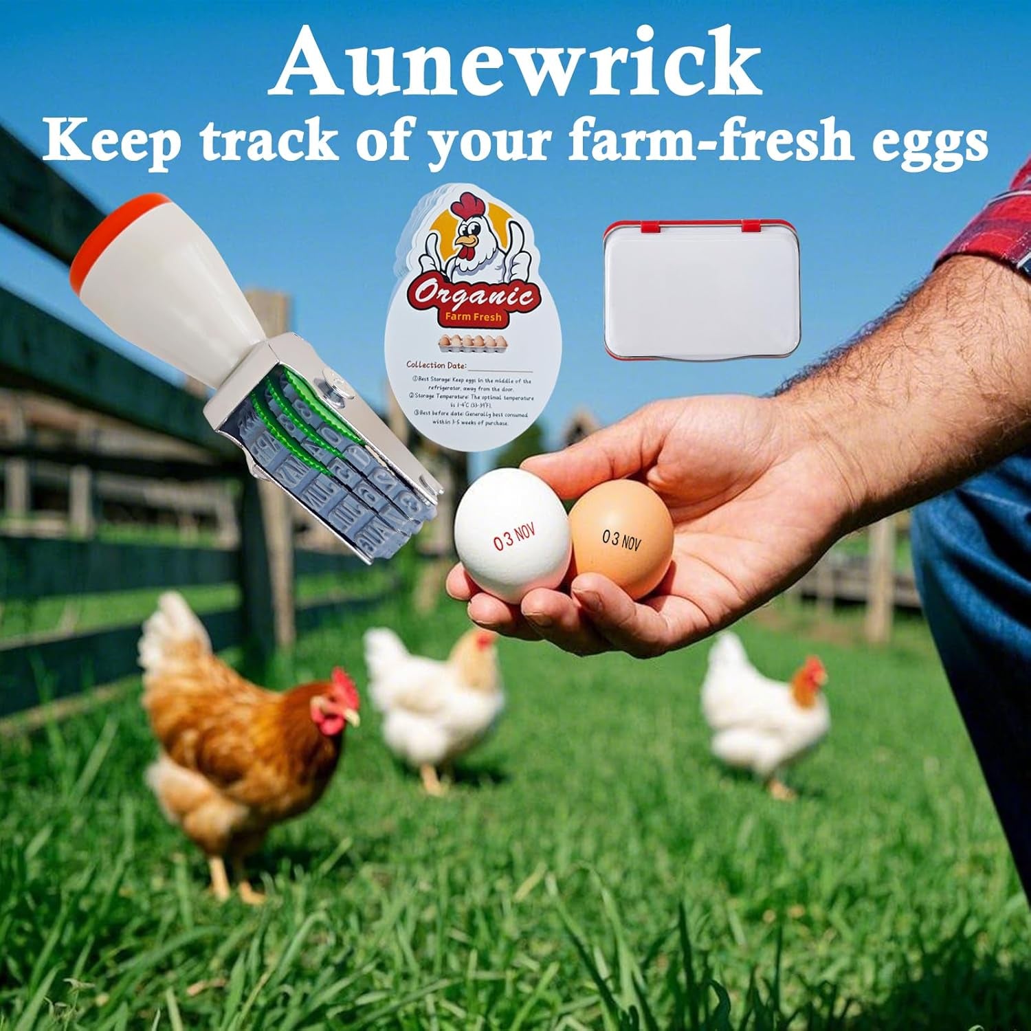 Egg Dater Kit, 1 Date Stamp（Month&Day）, 1 Red Fade-Resistant Ink, 50 Farm Fresh Eggs Instructions, for Chicken Duck Turkey Goose Eggs