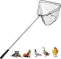 Chicken Catching Net, Animal Net with Extendable 46 Inch Stainless Steel Pole, Chicken Nets for Chickens, Ducks, Birds Cats, Dogs，Fishnet, Chicken Catcher for Poultry Supplies