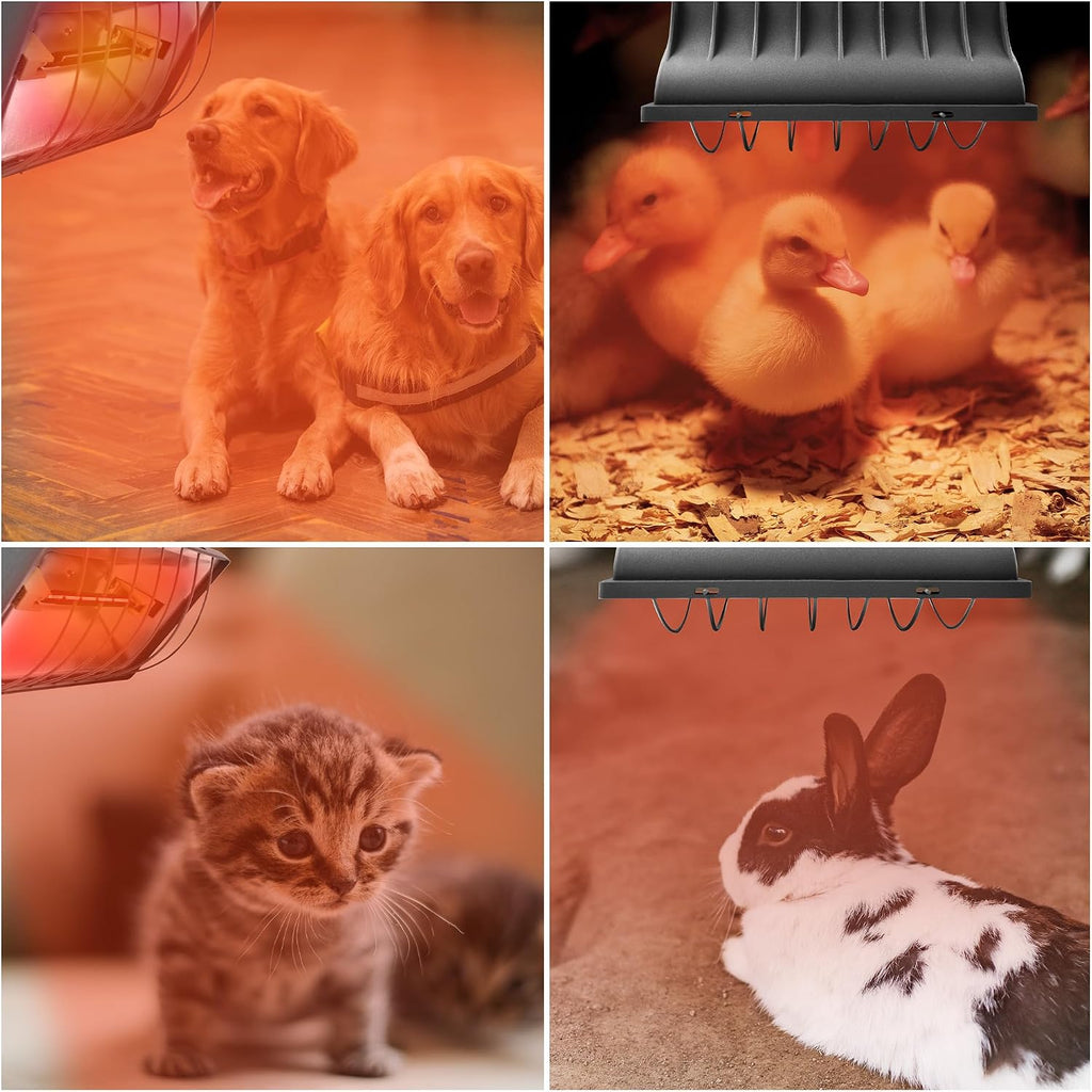 Chicken Coop Heater for Chicks,Brooder Heater with 2Pcs Heat Lamp(250W and 175W),Adjustable Temp & Height Chicken Brooder Box Supplies for Chicken Livestock Dogs Sheep Pets