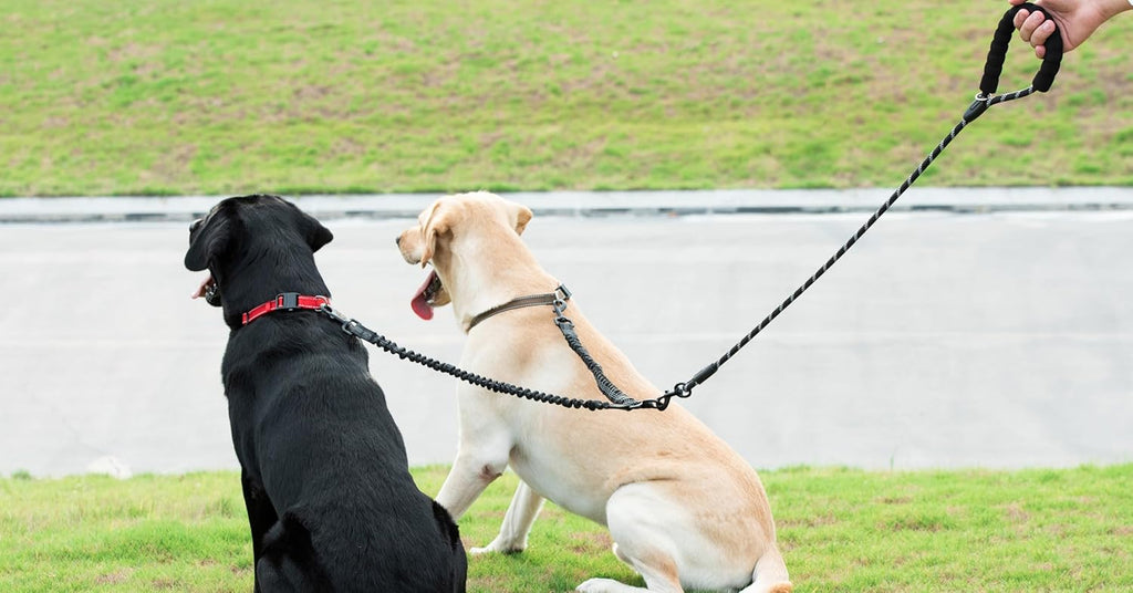Dual Dog Leash - 360° Swivel, No Tangle Walking Leash with Shock Absorbing Bungee for Two Dogs (Large, 25-150 Lbs, Black)