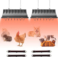Chicken Coop Heater for Chicks,Brooder Heater with 2Pcs Heat Lamp(250W and 175W),Adjustable Temp & Height Chicken Brooder Box Supplies for Chicken Livestock Dogs Sheep Pets