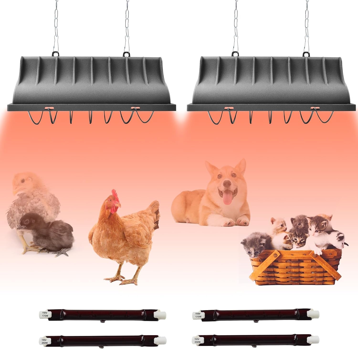 Chicken Coop Heater for Chicks,Brooder Heater with 2Pcs Heat Lamp(250W and 175W),Adjustable Temp & Height Chicken Brooder Box Supplies for Chicken Livestock Dogs Sheep Pets