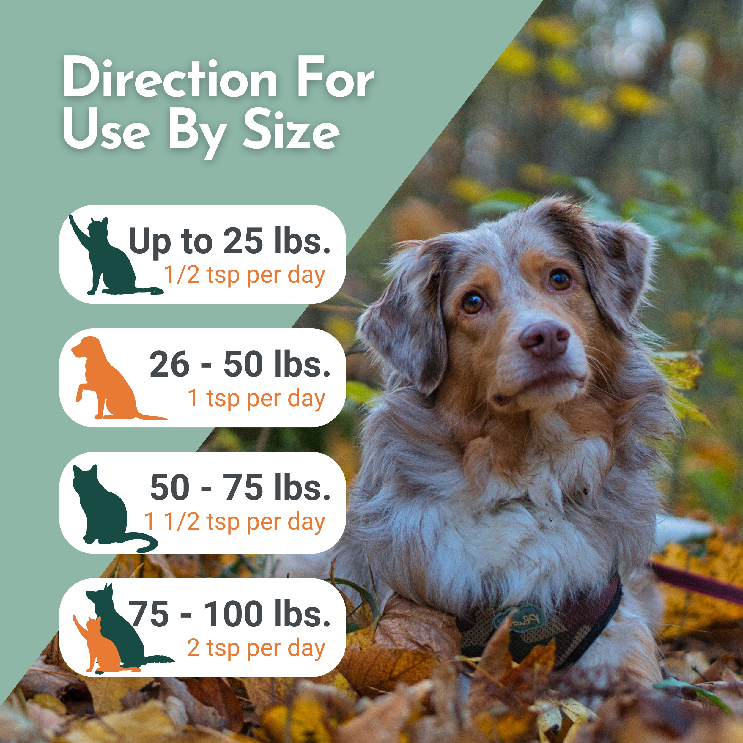 PRE-ORDER Omega Pawz - Liquid Omega 3 Oil for Dogs and Cats