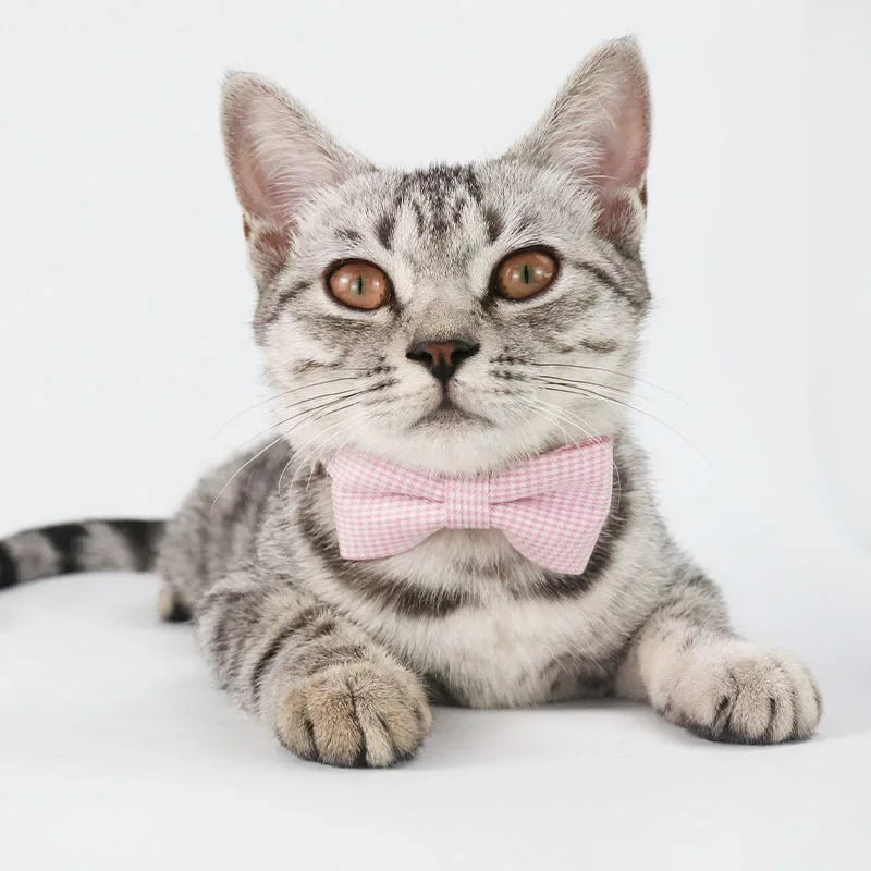 Cute Cat Collar with Bow Tie Adjustable Design Pet Dogs Cats Puppy Necklace Pet Collars Collar Para Gato