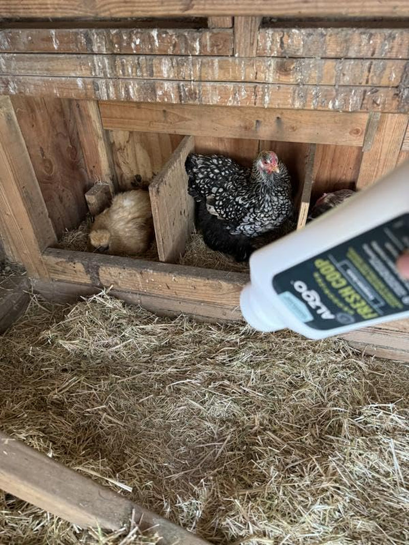 My Fresh Coop Chicken Coop Deodorizer – Concentrated Mineral-Based Odor Control Granules for Backyard Chickens, Helps Keep Bedding Fresh Longer, Evergreen Scent, 26.6 Oz, Pack of 2