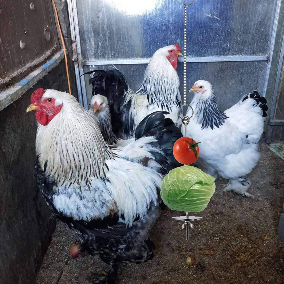 Chicken Veggies Skewer Fruit Holder for Hens Pet Chicken Vegetable Hanging Feeder Toy for Hens Large Birds