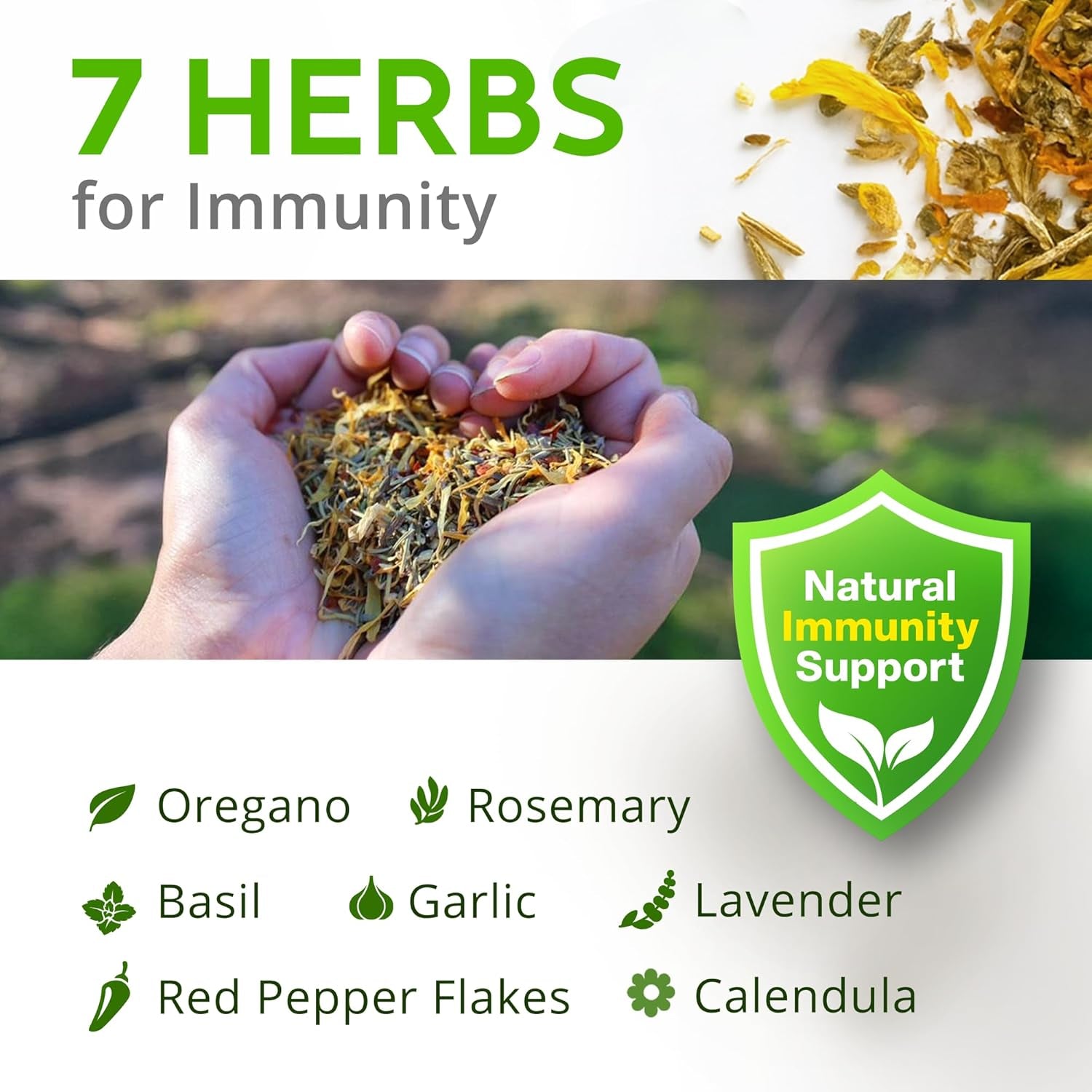 Herb Supplement for Backyard Chickens - Natural Chicken Treats, Poultry Feed Botanical Mix, Plant-Based Coop Snacks for Daily Wellness, Feather Quality, Egg Production, USA (12 Oz)
