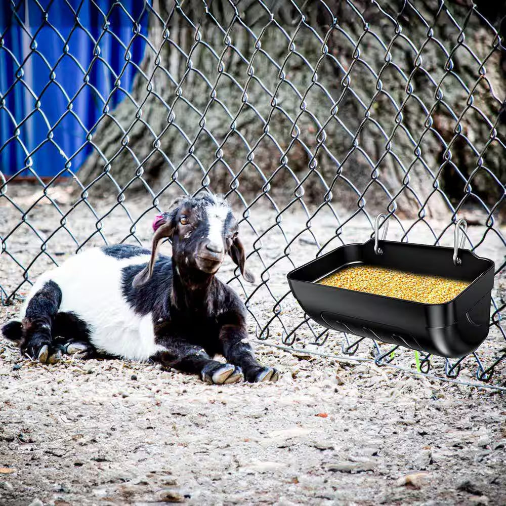 Goat Feeders Hanging 3.5 Qt. Chicken Waterer Trough 6 Pack Livestock Supplies