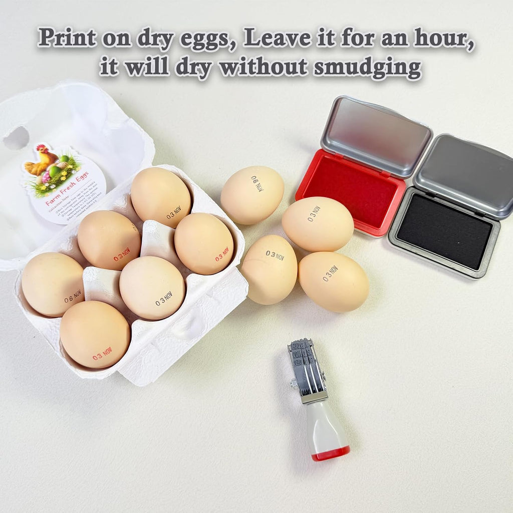 Egg Dater Kit, 1 Date Stamp（Month&Day）, 1 Red Fade-Resistant Ink, 50 Farm Fresh Eggs Instructions, for Chicken Duck Turkey Goose Eggs