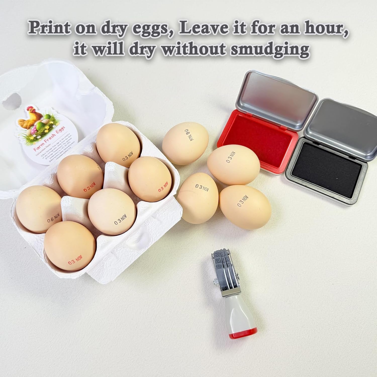 Egg Dater Kit, 1 Date Stamp（Month&Day）, 1 Red Fade-Resistant Ink, 50 Farm Fresh Eggs Instructions, for Chicken Duck Turkey Goose Eggs